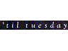 'til tuesday
